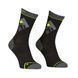Шкарпетки Ortovox Alpine Light Comp Mid Socks Mns 025.001.1162 фото 2