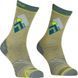 Шкарпетки Ortovox Alpine Light Comp Mid Socks Mns 025.001.1162 фото 1