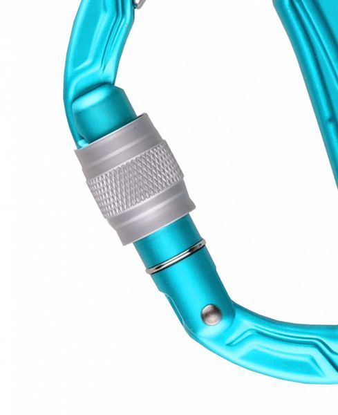 Карабін Edelrid Bulletproof Screw Icemint 50403 фото