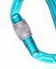 Карабін Edelrid Bulletproof Screw Icemint 50403 фото 2