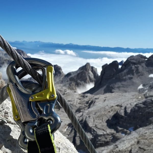 Карабін Edelrid Dsg Triton Night 50396 фото