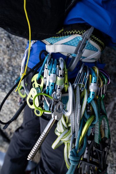 Карабін для розвішування спорядження Edelrid SM-Clip 3R Night L 50449 фото