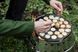 Форма для пофертьє чавунна Petromax Poffertjes Pan 51634 фото 7