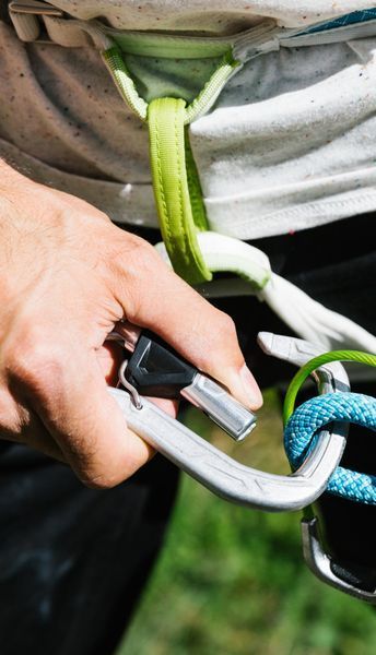 Карабін Edelrid Hms Bulletproof Belay FG Eco 50397 фото