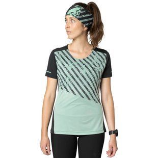 Футболка Dynafit Alpine 2 S/S Tee Wmn 016.002.2758 фото