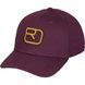 Кепка Ortovox Logo Flex Cap 025.001.0249 фото 2