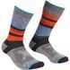 Шкарпетки Ortovox All Mountain Mid Socks Warm Mns 025.001.0124 фото