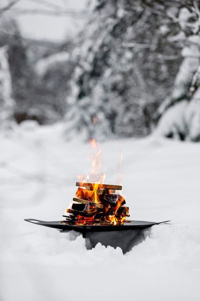 Підставка для смаження та багаття 3-в-1 Petromax Griddle and Fire Bowl 48 см 50192 фото