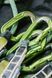 Відтяжка Edelrid Bulletproof Set II Night 18 см 52222 фото 2