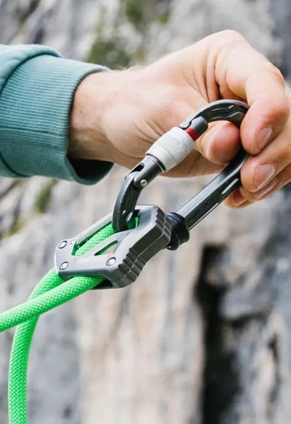 Карабін Edelrid Kiwi Screw Anthracite 50366 фото