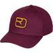 Кепка Ortovox Logo Flex Cap 025.001.0833 фото